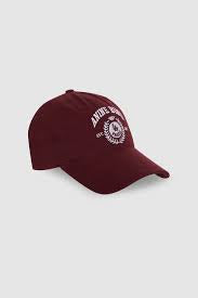 Anine Bing Jeremy Baseball Collegiate Cap Fig