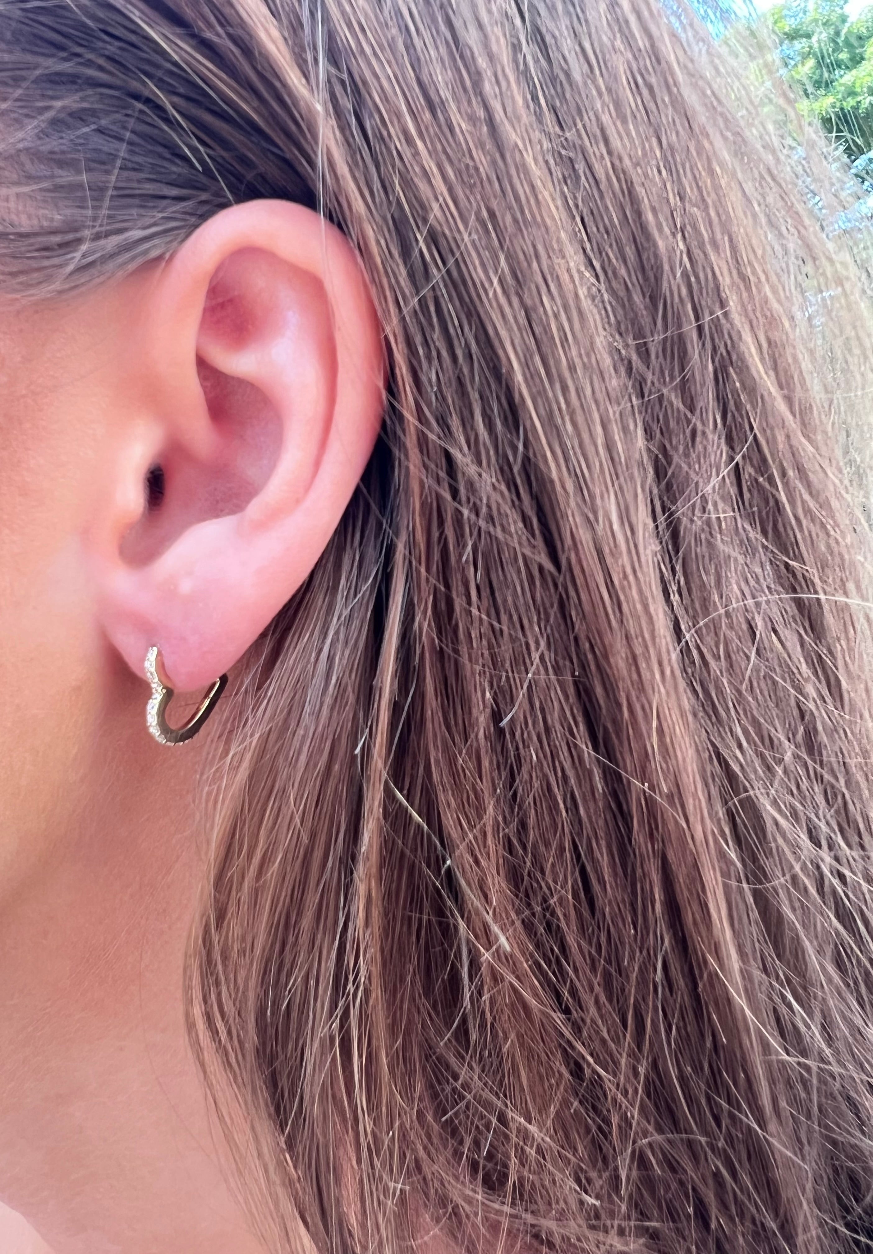 Le Soonar Heart Earrings