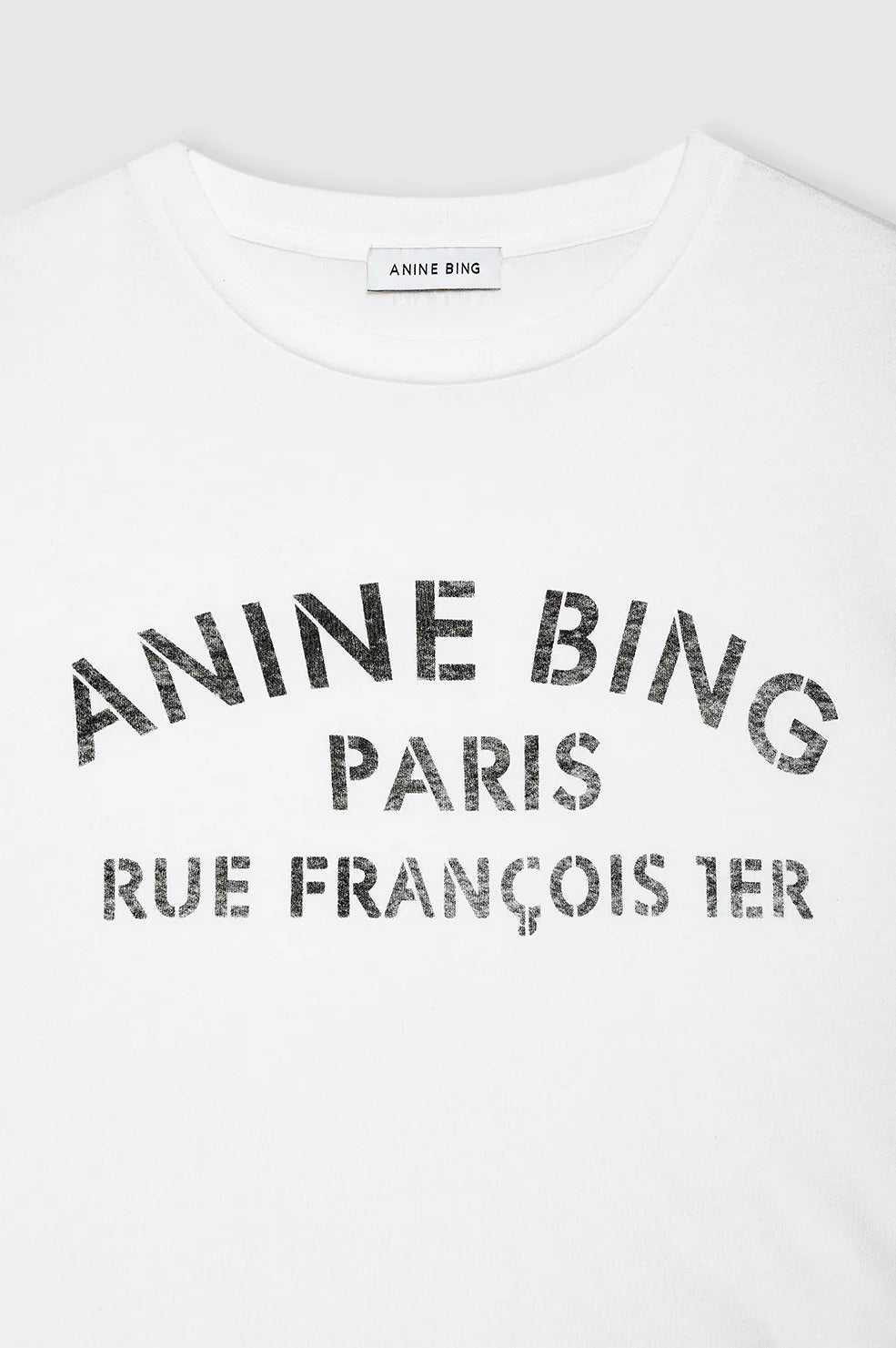 Anine Bing Cohen Tee Paris Stencil