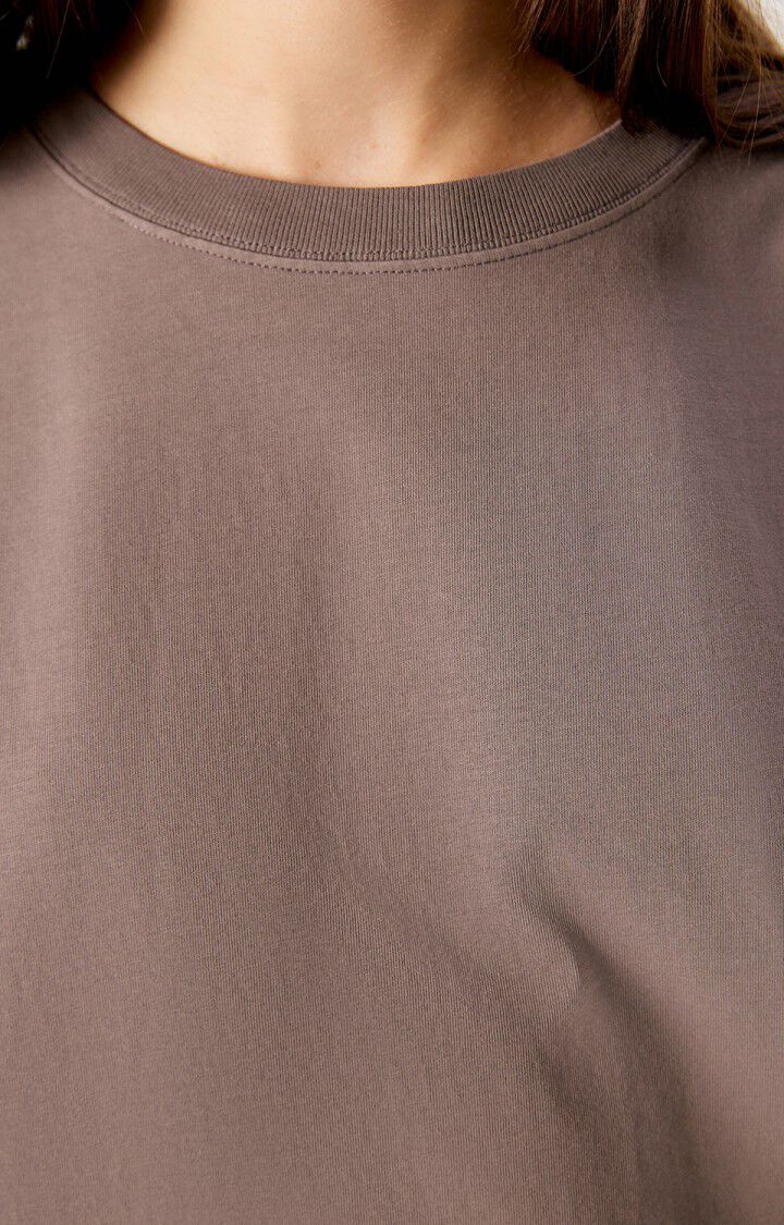 AMERCAN VINTAGE T-SHIRT FIZVALLEY VINTAGE ASH
